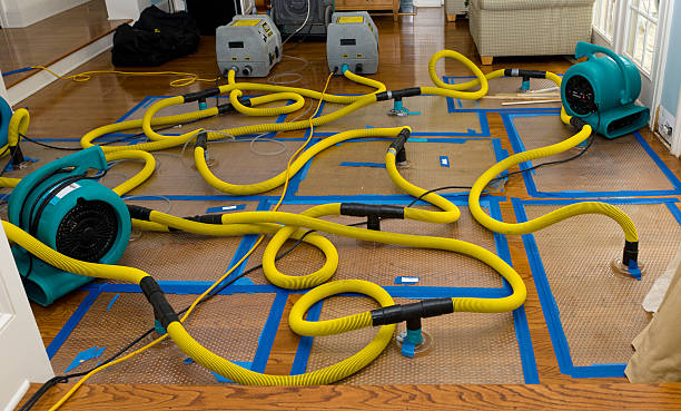 Professional Basement Flood Cleanup technician working in McGuffey, OH