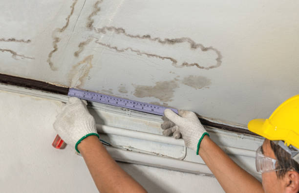 Affordable Water Damage Repair solutions in McGuffey, OH